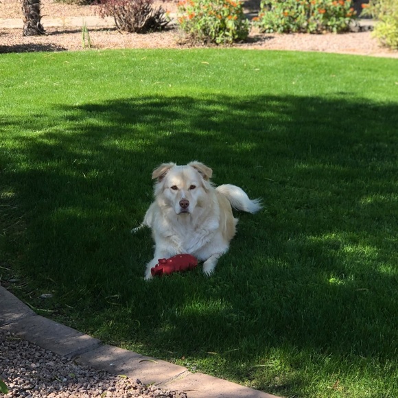 Meet your Posher, Jennifer - Picture 2 of 7